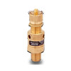 1002 series Safety valve